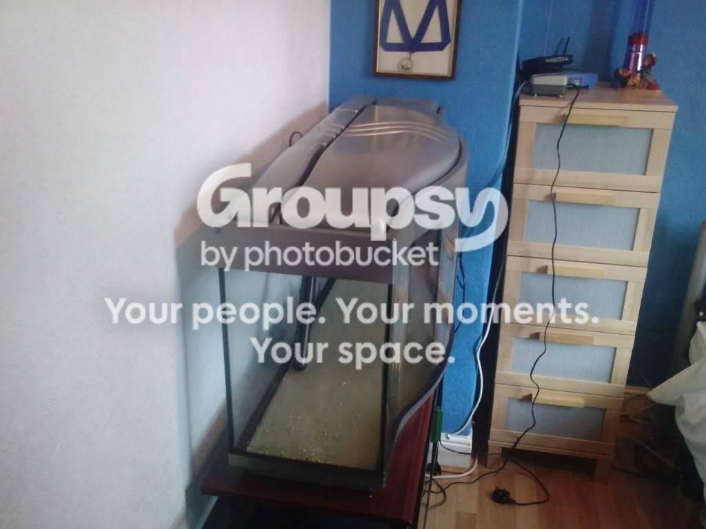 LGIM01602.jpg