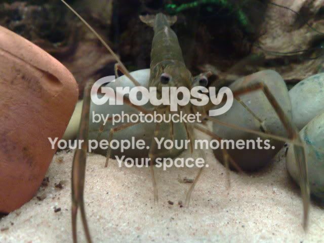 14052009358.jpg