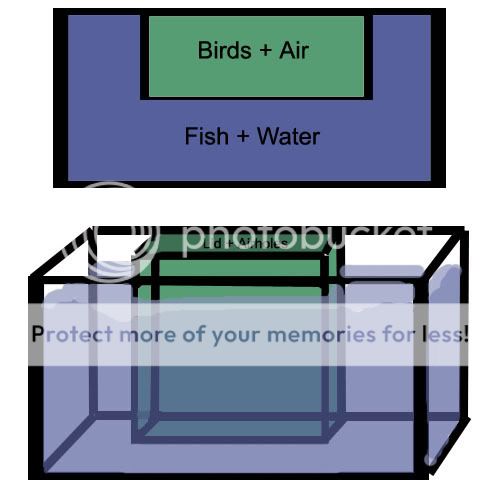 thingy.jpg
