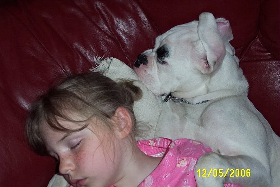 Picture241.jpg