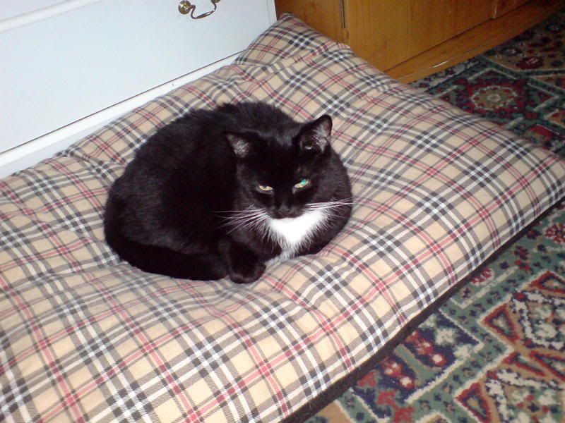 2804200717.jpg