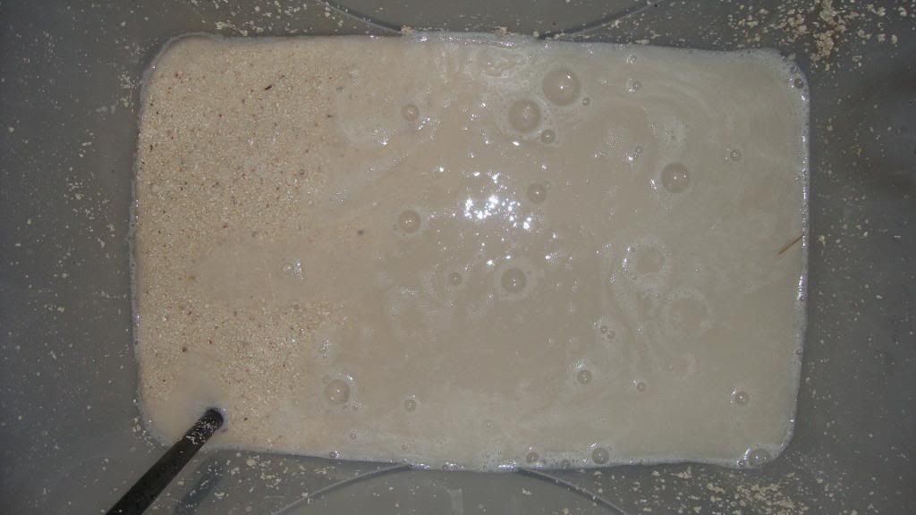 DSC03937.jpg