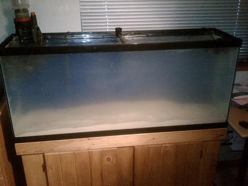 aquariumsand1.jpg