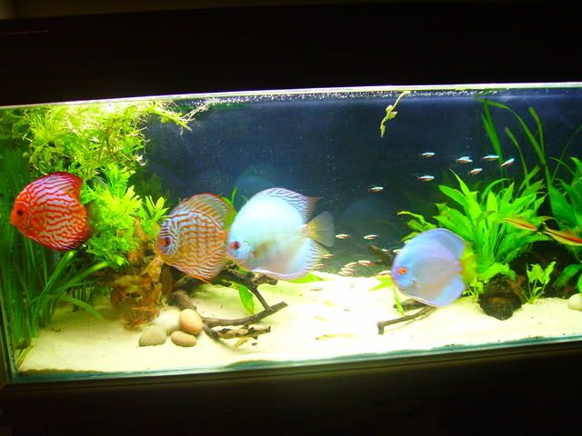 jan24042.jpg