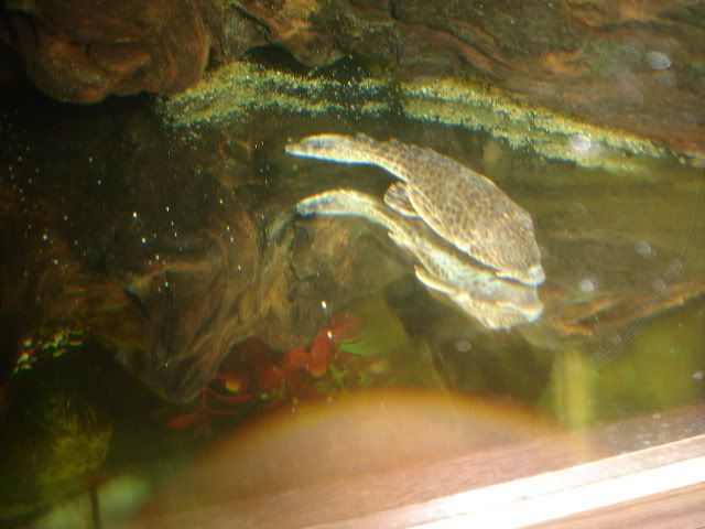 Tank002.jpg