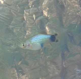 20120929_170122-1.jpg