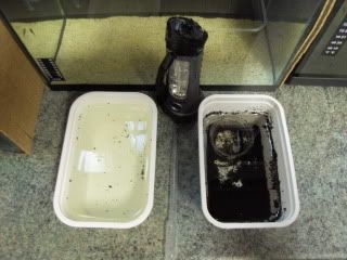 SDC12889.jpg