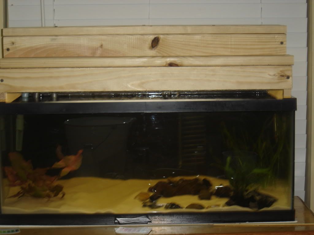 progessof20gallon034.jpg