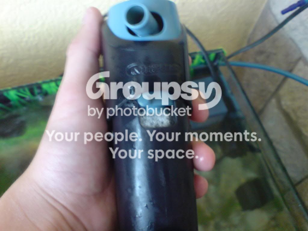 DSC00009.jpg
