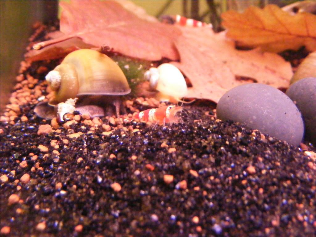 DSCF0860.jpg
