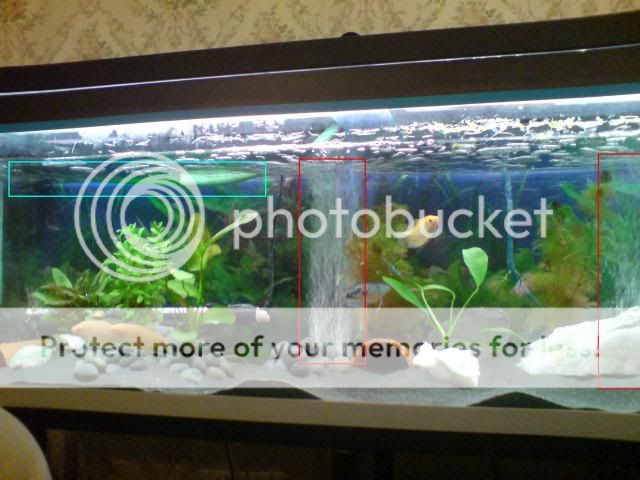CopyofDSC00189.jpg