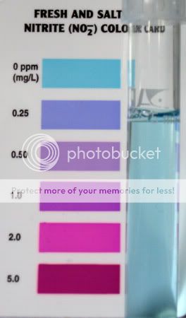 Test-2009-05-05-Nitrite.jpg