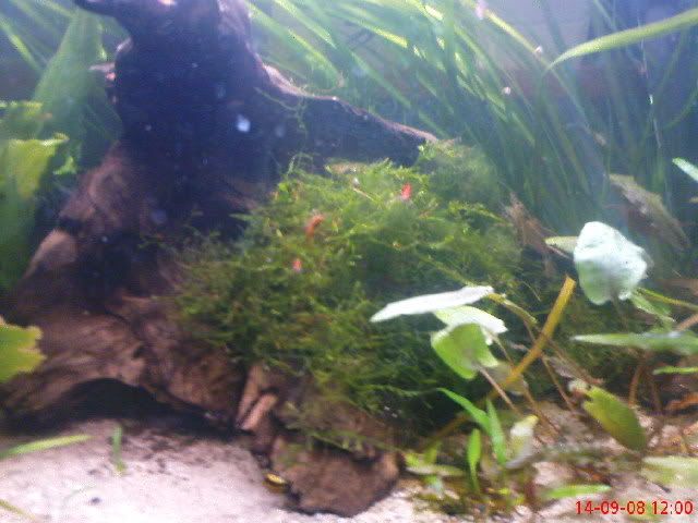 DSC00691-1.jpg