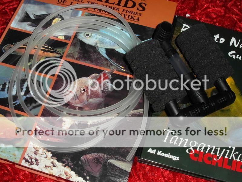 SAM_2876_zps90125ab6.jpg
