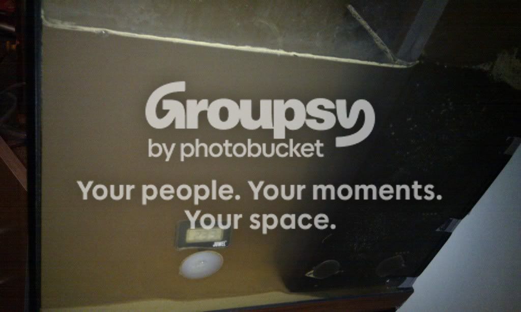IMAG0503.jpg