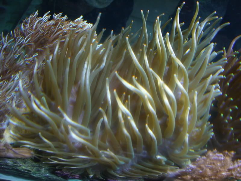 P1010168.jpg