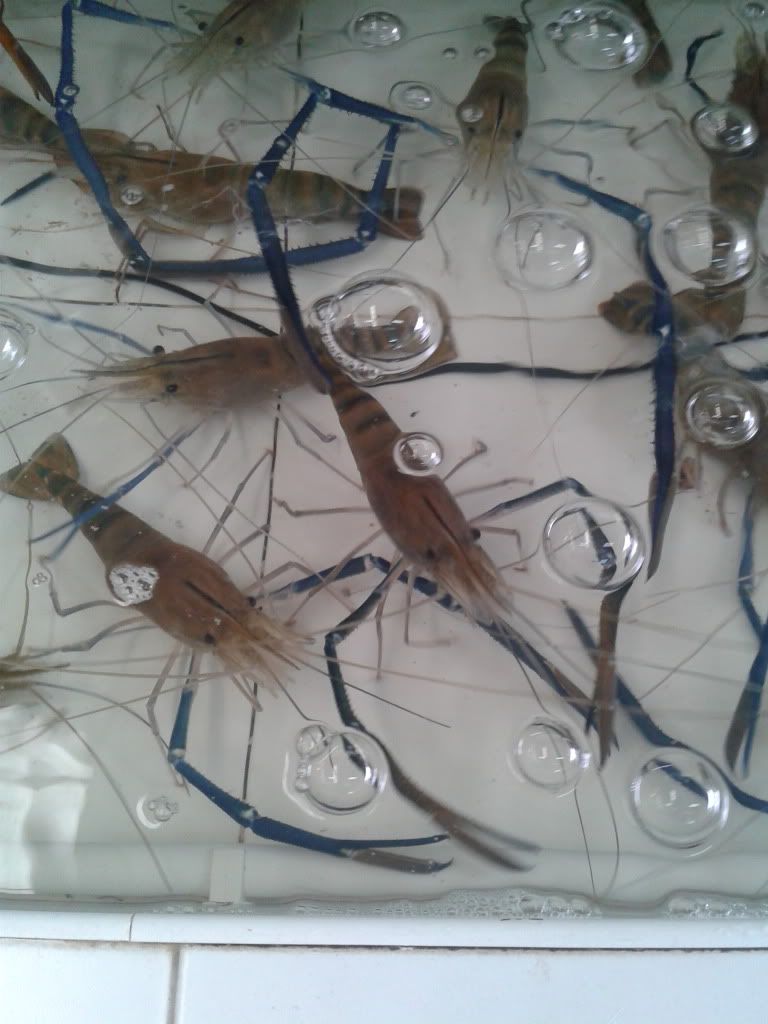 2012-03-31133920.jpg