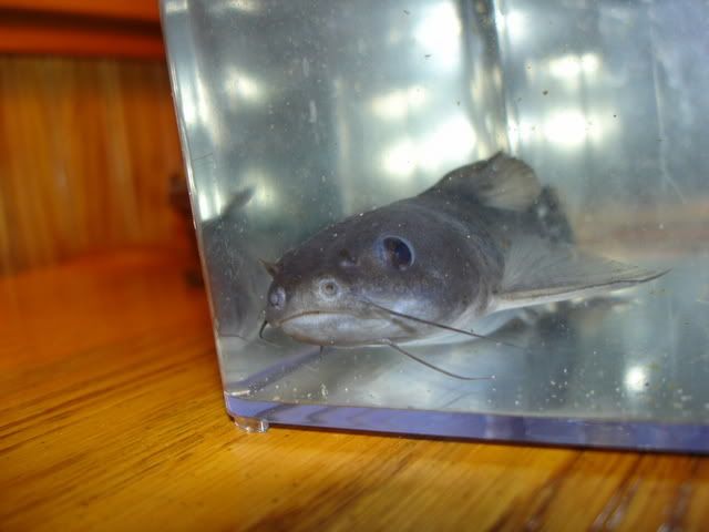 DSC04243.jpg