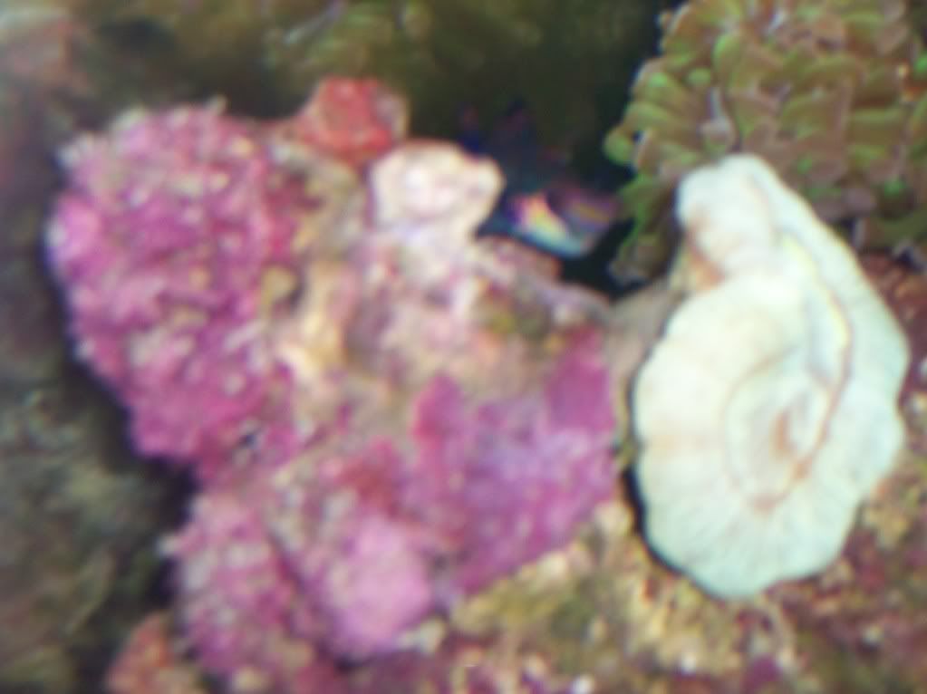 100_2706.jpg