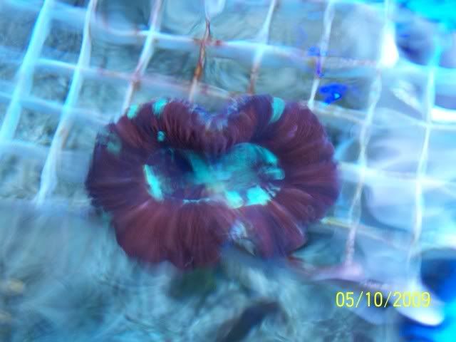 100_6139.jpg
