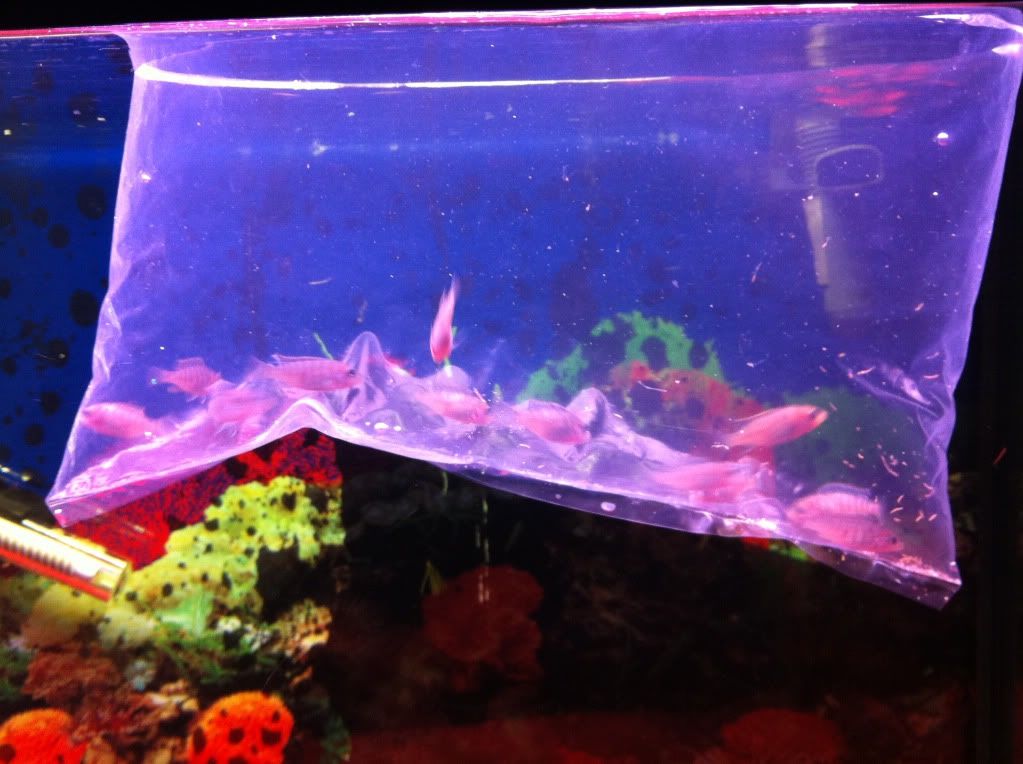 photo11.jpg