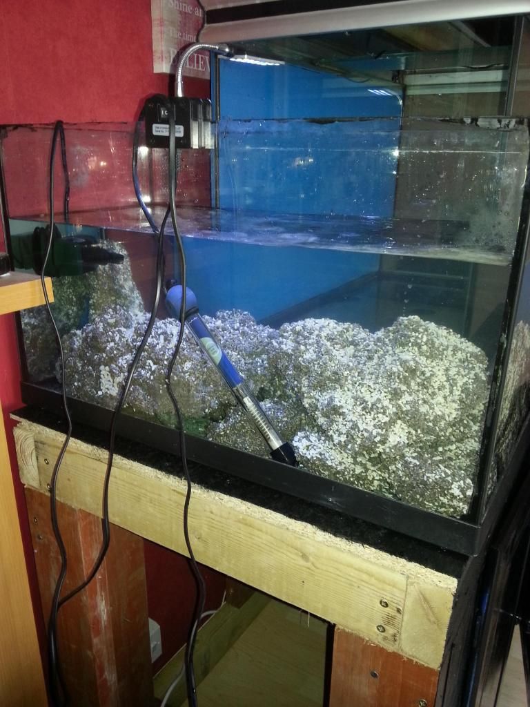 20130207_112518_zpsecb6ad49.jpg