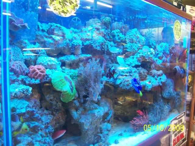 100_6121.jpg
