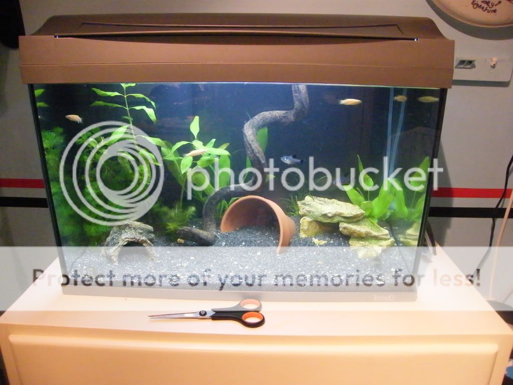 DSCF4300.jpg