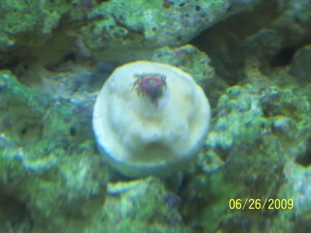 100_6958.jpg