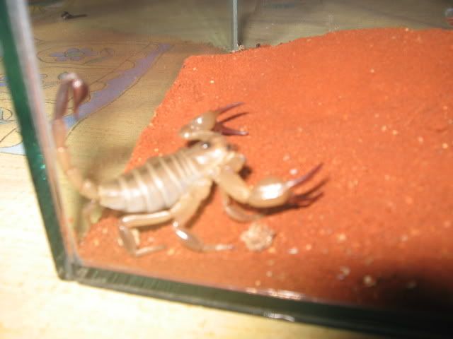 033.jpg
