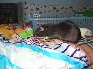 DSCF2608.jpg