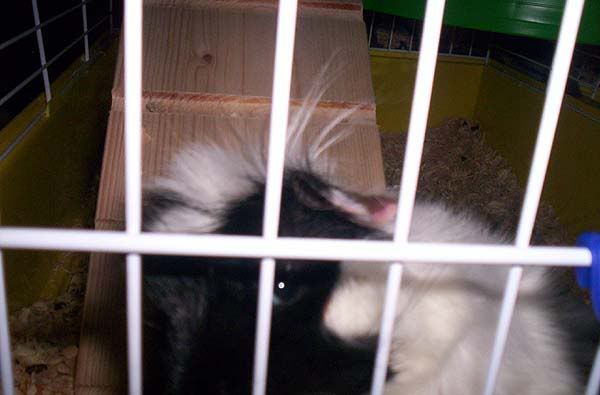 100_64181.jpg
