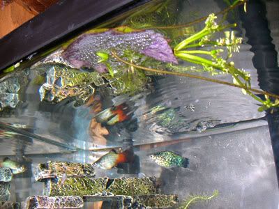 DSCN8916.jpg