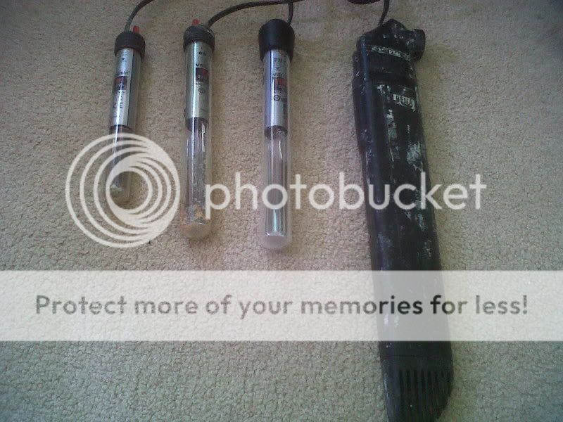 IMG00254-20111028-1523.jpg