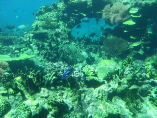 SDC12167.jpg