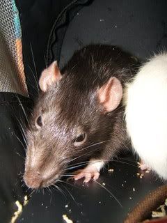 DSCF2871.jpg