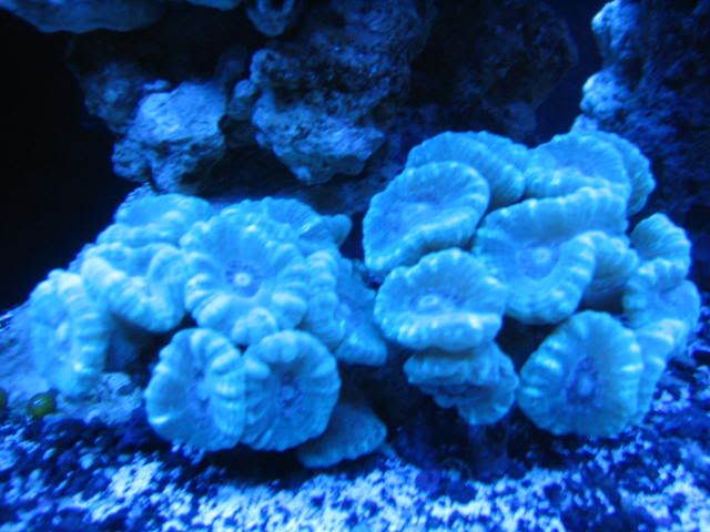 IMG_0107.jpg