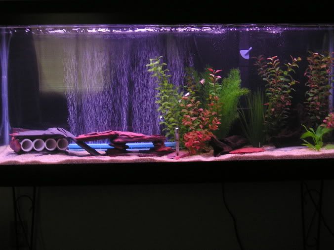 55gallon02.jpg