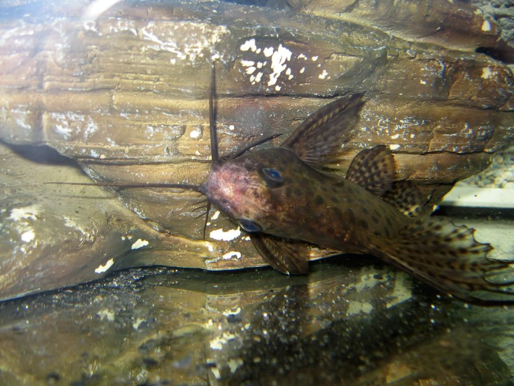 IMG_3508.jpg