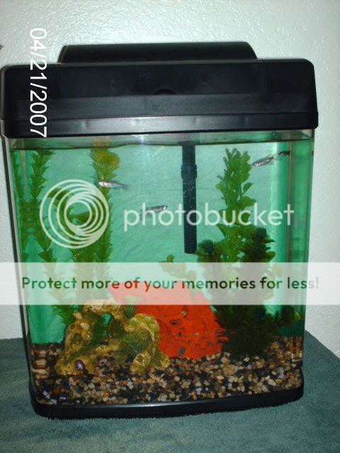 PICT0318.jpg