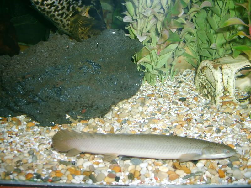 paulasholidayandneilsfishes182.jpg