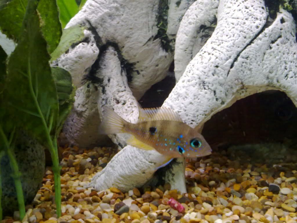 14062010389.jpg