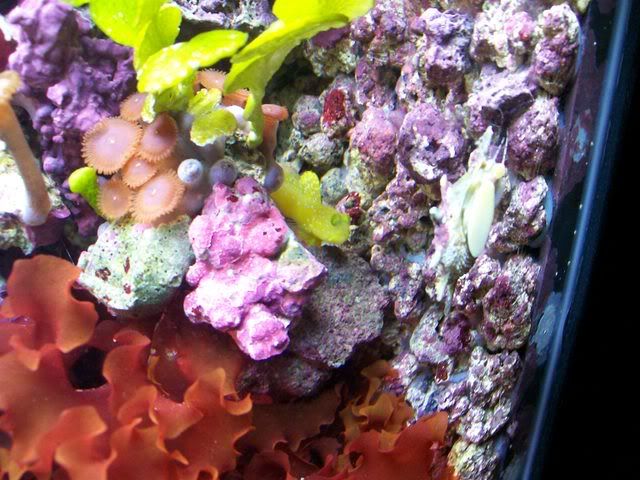 Picture084.jpg