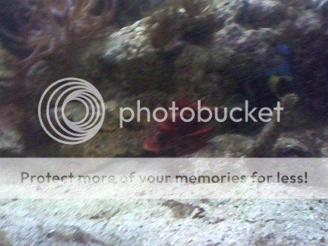 Image_00021.jpg