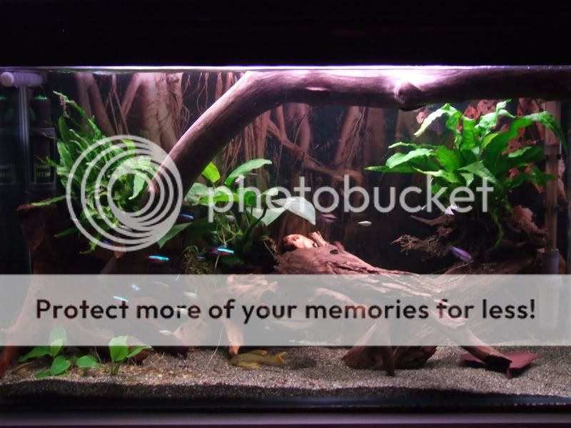 DSCF2390.jpg