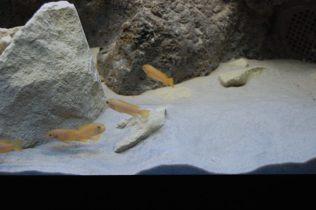 DSC_0236.jpg