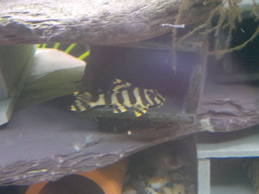20111125475.jpg