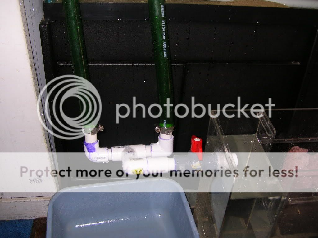 DSCN3622.jpg