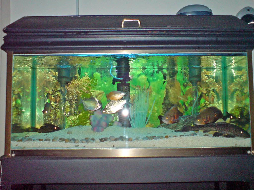 DSC00028_edited.jpg