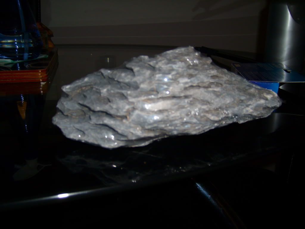 SL730031.jpg
